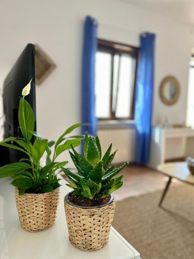 דירות פיומיצ'ינו Sea Breeze House מראה חיצוני תמונה